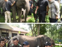 Ketua DPRD Lampung: Atensi Presiden Jadikan Way Kambas Percontohan Nasional Harus Dikawal Bersama