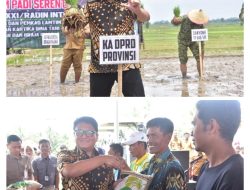 Ketua DPRD Provinsi Lampung, A. Giri Akbar, S.E., M.B.A., menghadiri kegiatan Tanam Padi bersama Forkopimda