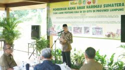 *Anak Harimau Sumatera Tampil Perdana, Gubernur Lampung Rahmat Mirzani Djausal Resmikan Nama*