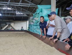 Bed Dryer Beroperasi di Rawa Jitu Selatan, Dorong Hilirisasi Pertanian dan Kesejahteraan Petani di Tulang Bawang