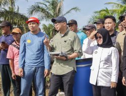 Pemprov Tingkatkan Kesejahteraan Petani Daerah Melalui Akselerasi Program Modernisasi dan Hilirisasi Sektor Pertanian